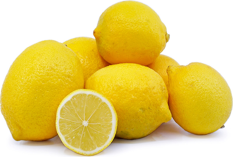 Лимон САНТА-ТЕРЕЗА (растение)