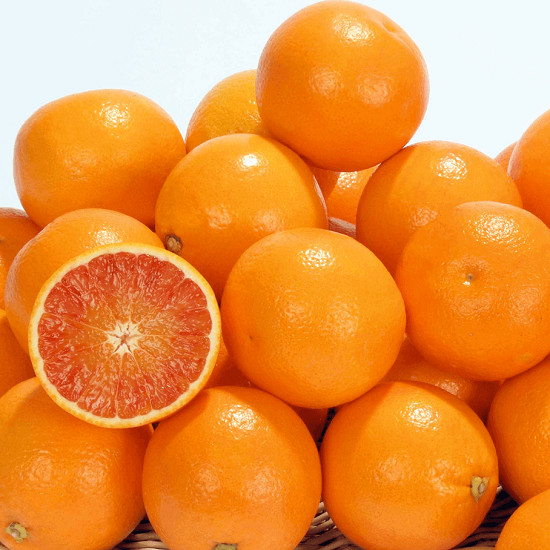 Апельсин Ягодный ТАРОККО МЕЛИ (растение)