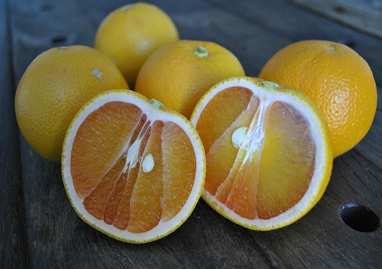 Апельсин СИКЕРИ (растение)