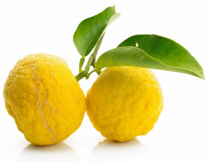 Лимон Японский ЮЗУ (растение)