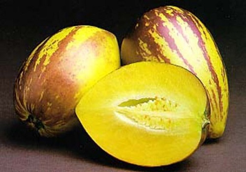 Solanum MURICATUM или Пепино